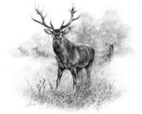 /album/fenykepgaleria/images-7-jpg1/